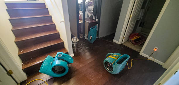 Best Flood restoration services  in Noank, CT