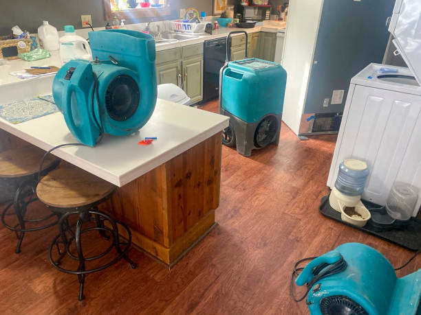 Best Water damage restoration services  in Noank, CT