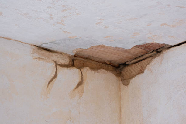 Best Professional water damage repair  in Noank, CT