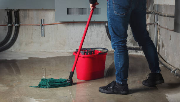 Best Fire Damage Restoration  in Noank, CT
