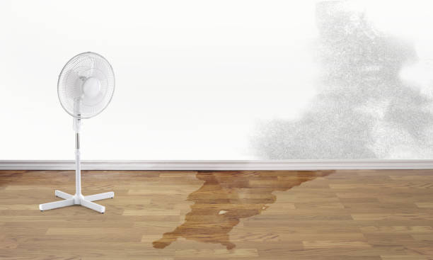 Best Emergency water damage restoration  in Noank, CT