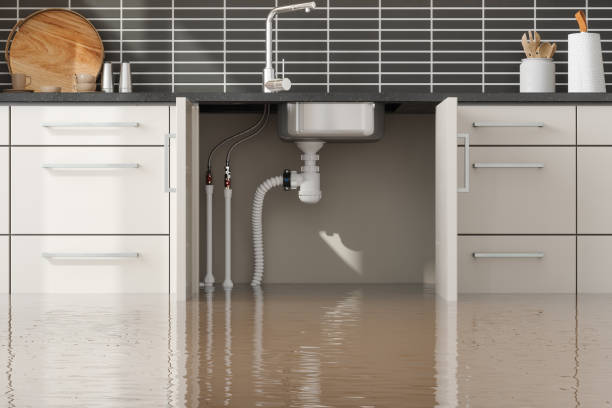 Best Flood damage cleanup  in Noank, CT